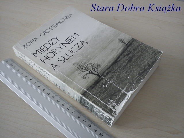 MIĘDZY HORYNIEM A SŁUCZĄ - Zofia Grzesiakowa