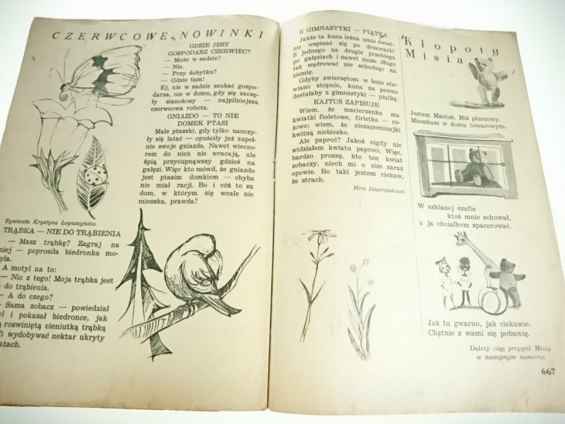 ŚWIERSZCZYK ISKIERKI NR 42 17.-23.VI.56 r.