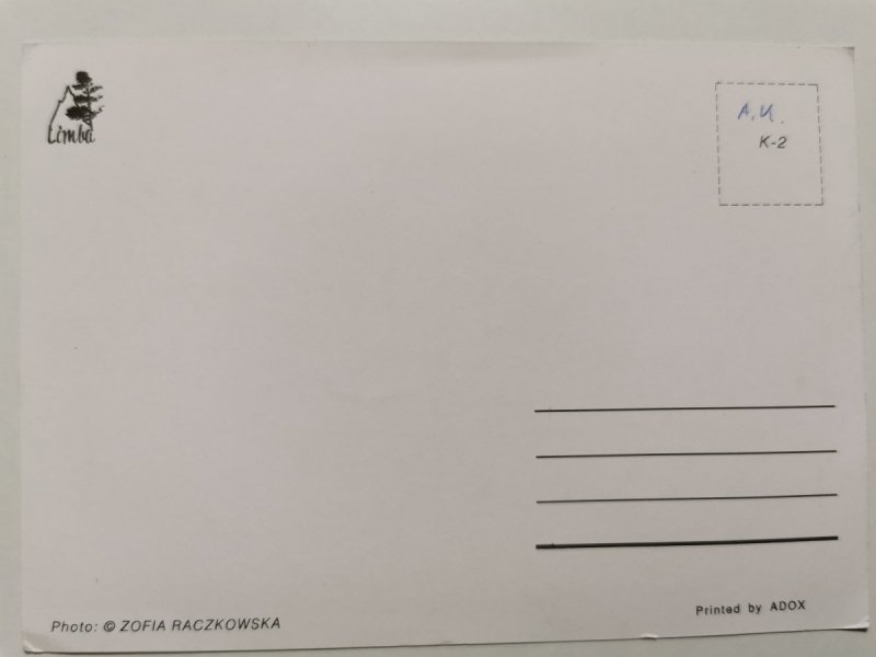 NAPUSZONY PRĘGOWANY KOTEK FOT. RACZKOWSKA