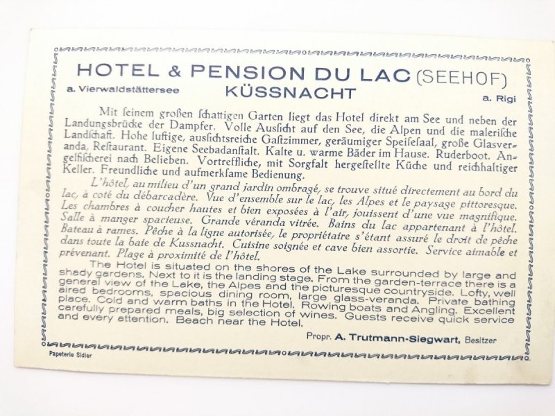 HOTEL AND PENSION DU LAC (SEEHOF), KUSSNACHT A.R. UND DIE ALPEN