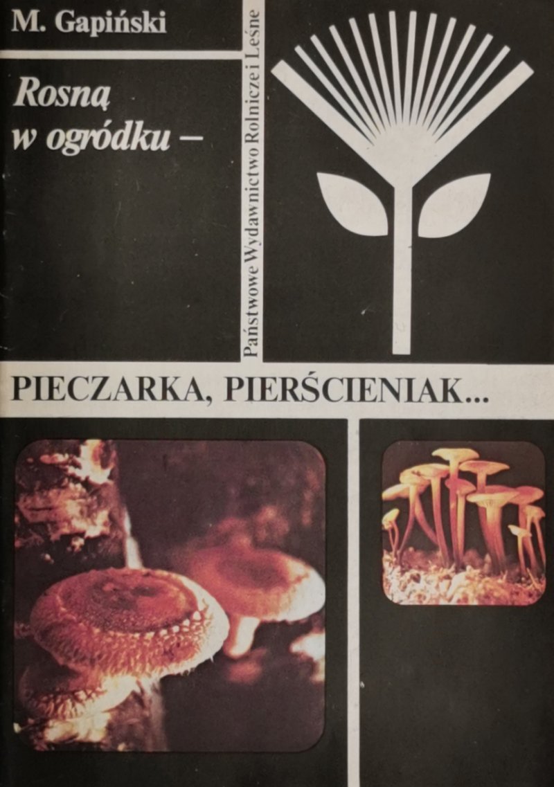 PIECZARKA, PIERŚCIENIAK… - M. Gapiński