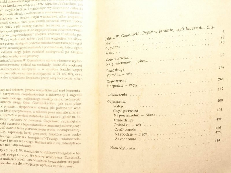 CIURY - Wiktor Gomulicki 1986
