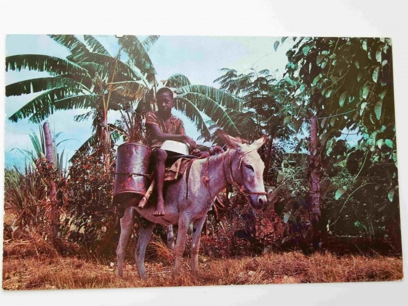 WATER BOY, JAMAICA