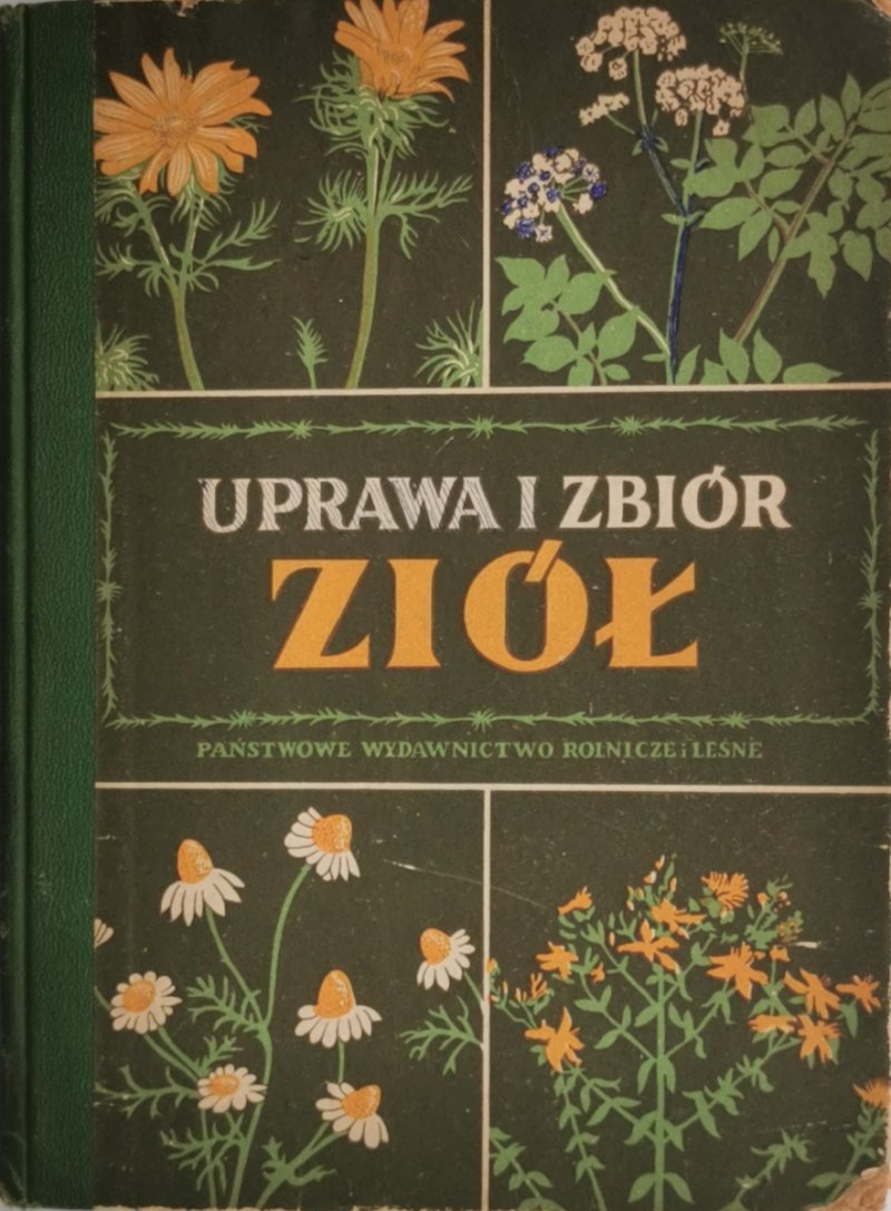 UPRAWA I ZBIÓR ZIÓŁ - H.Cybulska