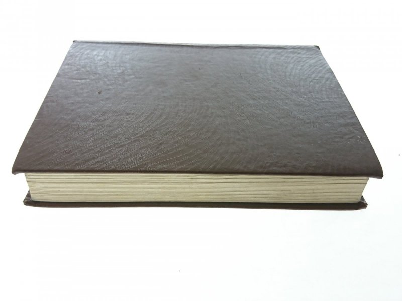 BIBLIA W OBRAZKACH DLA NAJMŁODSZYCH - K. N. Taylor