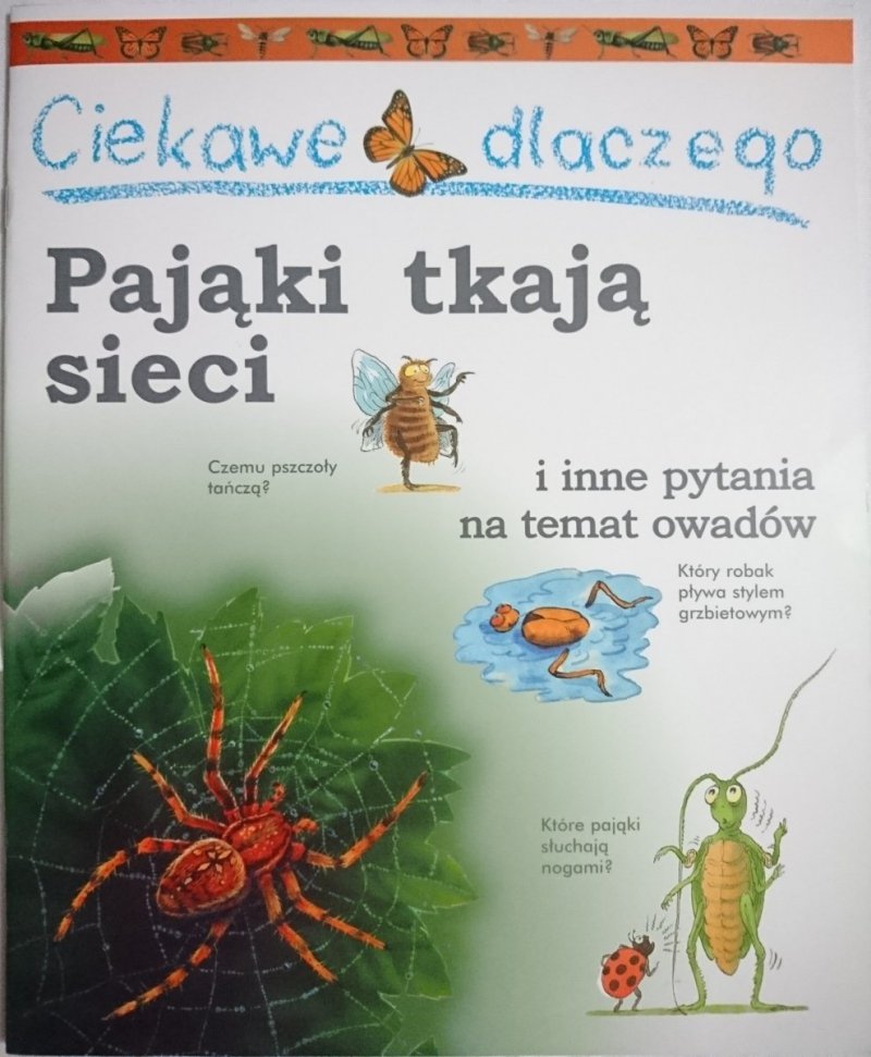 CIEKAWE DLACZEGO. PAJĄKI TKAJĄ SIECI I INNE PYTANIA NA TEMAT OWADÓW