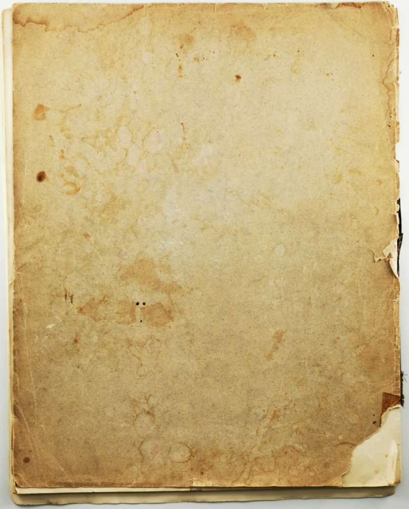 FR. CHOPIN’S PIANOFORTE – WERKE - Carl Mikuli