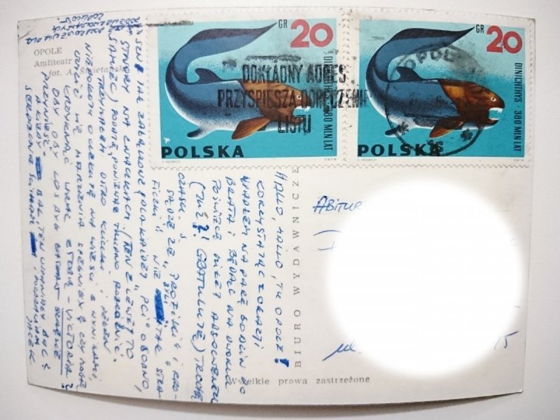 OPOLE. AMFITEATR FOT. ŚMIETAŃSKI
