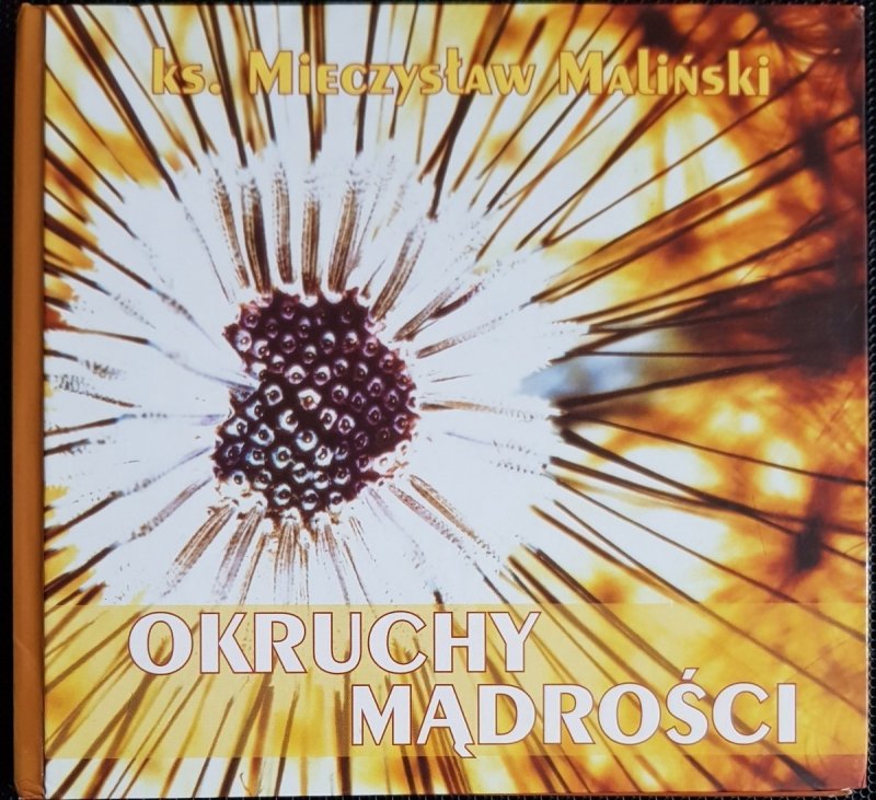 OKRUCHY MĄDROŚCI - Ks. Mieczysław Maliński 