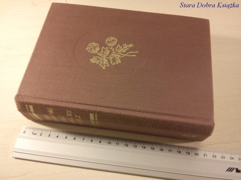DZIEJE LITERATURY POLSKIEJ - J. KRZYŻANOWSKI