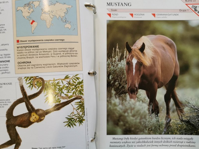 ENCYKLOPEDIA ZWIERZĄT OD A DO Z. 6 SEGREGATORÓW