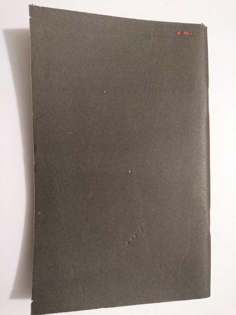 W MAŁYM DWORKU - Stanisław I. Witkiewicz 1982