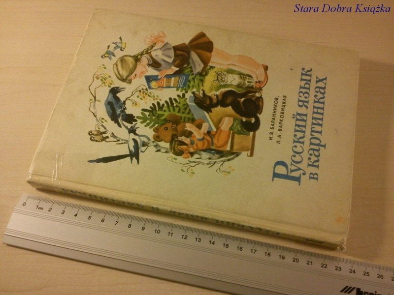 JĘZYK ROSYJSKI W OBRAZACH