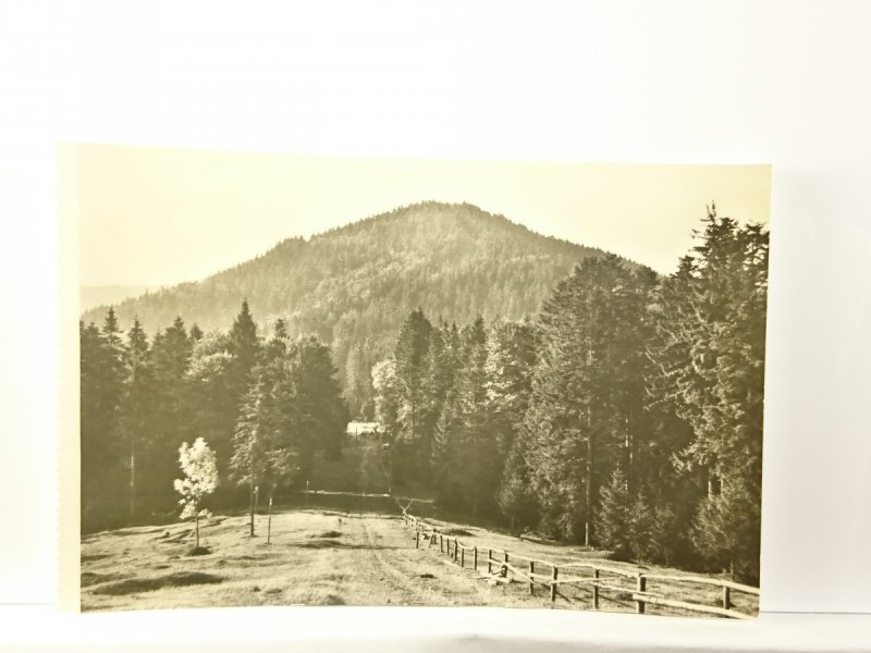 BESKID ŚLĄSKI. STOŻEK 980 m