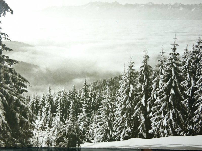 GORCE. WIDOK Z TURBACZA NA TATRY