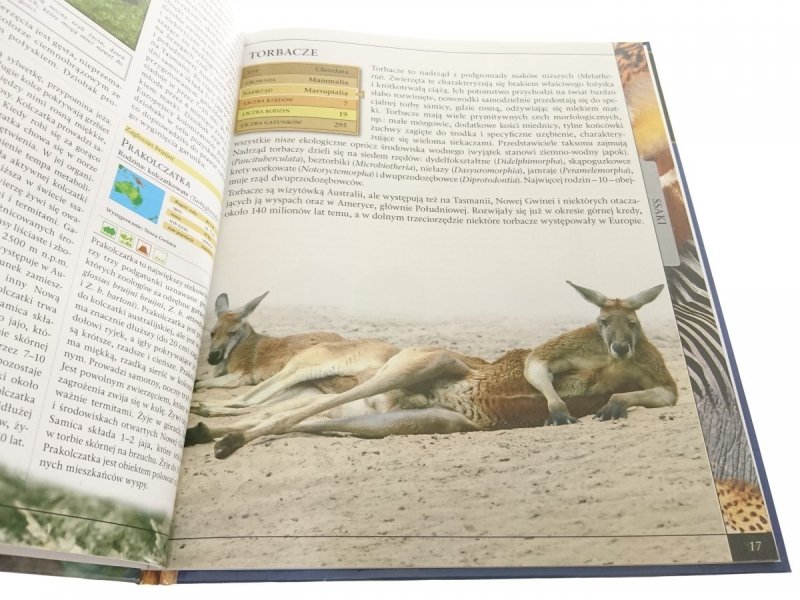 WIELKA ENCYKLOPEDIA ZWIERZĄT. SSAKI 