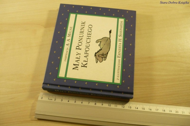 MAŁY PONURNIK KŁAPOUCHEGO (2003)
