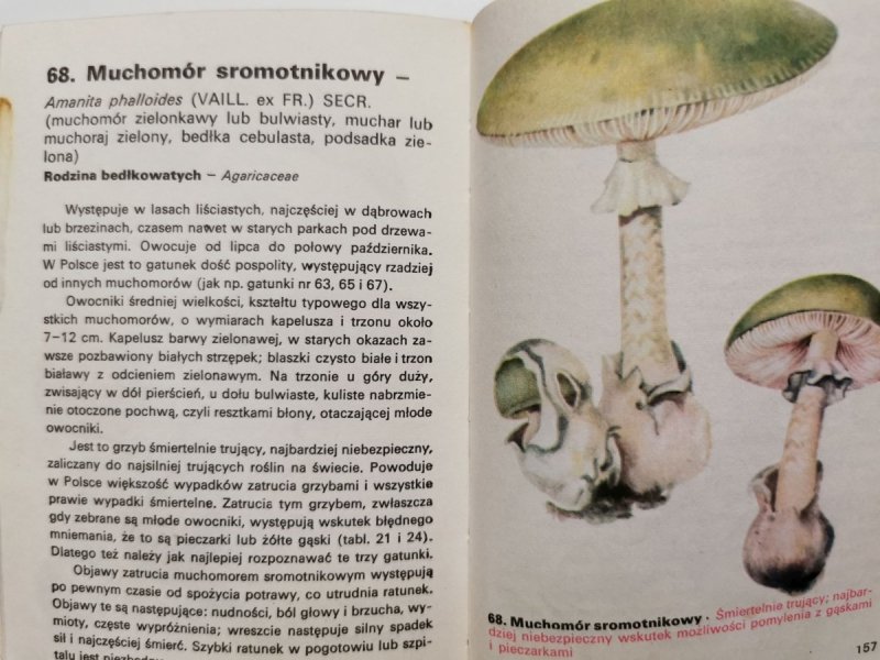 ATLAS GRZYBÓW LEŚNYCH 1974