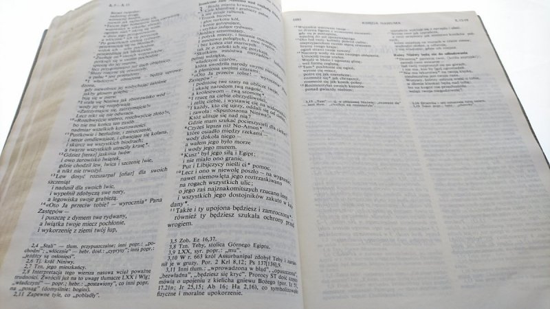PISMO ŚWIĘTE STAREGO I NOWEGO TESTAMENTU 1980