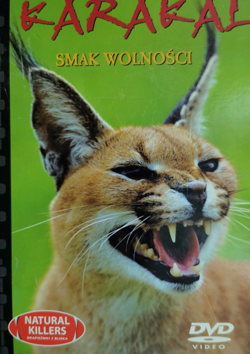 DVD. NATURAL KILLERS TOM 12. KARAKAL SMAK WOLNOŚCI