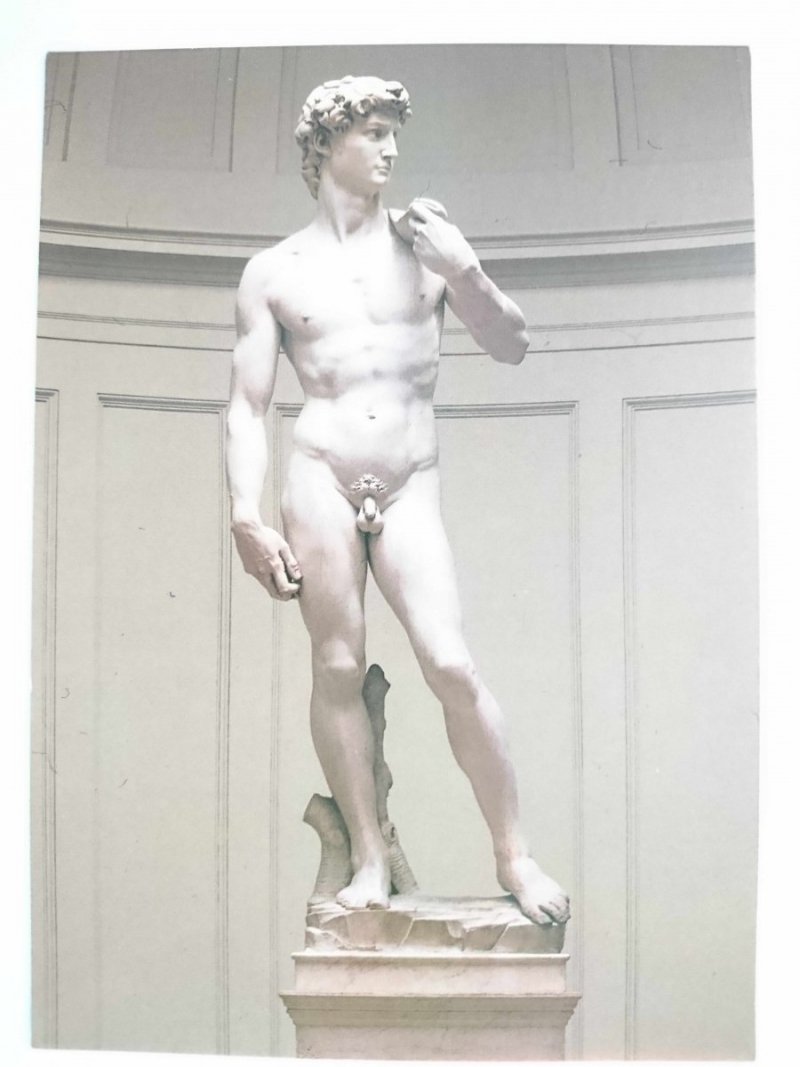 FIRENZE. MICHELANGELO: IL DAVID 