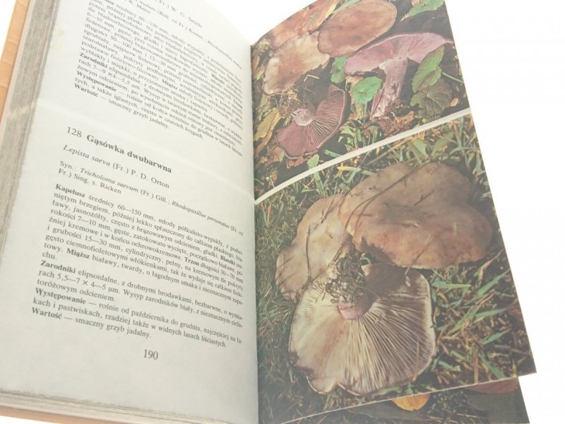 GRZYBY ZNANE I MNIEJ ZNANE - Aurel Dermek 1988