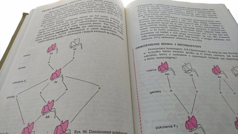 BIOLOGIA DLA KLASY IV LICEUM...- Jerzmanowski 1989