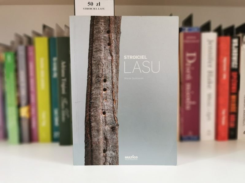 Stroiciel lasu - Marek Stokowski