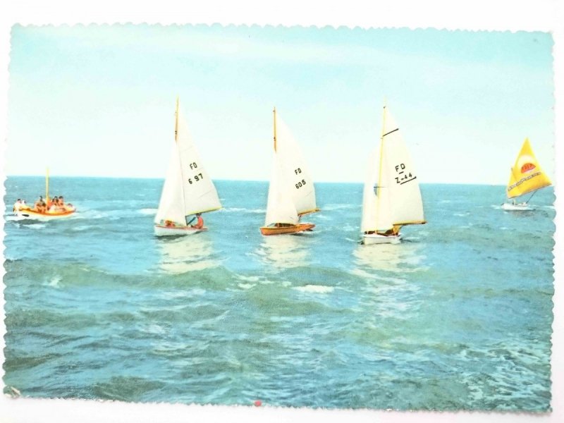 CATTOLICA. SAILS IN SEA