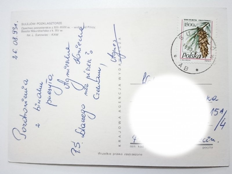SULEJÓW-PODKLASZTORZE. OPACTWO POCYSTERSKIE Z XIII-XVIII w. FOT. SUROWIEC