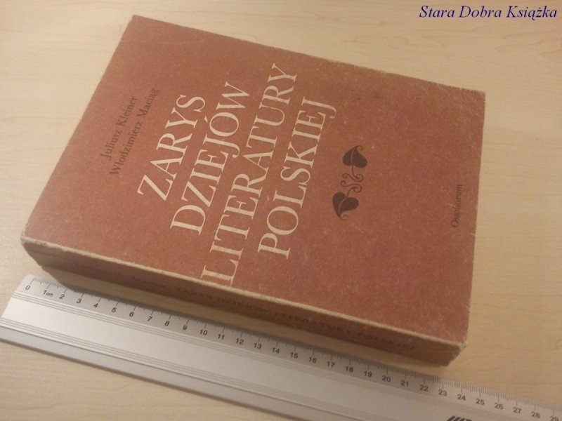 ZARYS DZIEJÓW LITERATURY POLSKIEJ - J. KLEINER