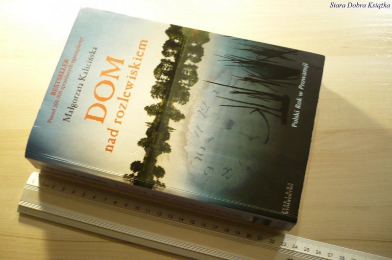 DOM NAD ROZLEWISKIEM - Małgorzata Kalicińska 2006