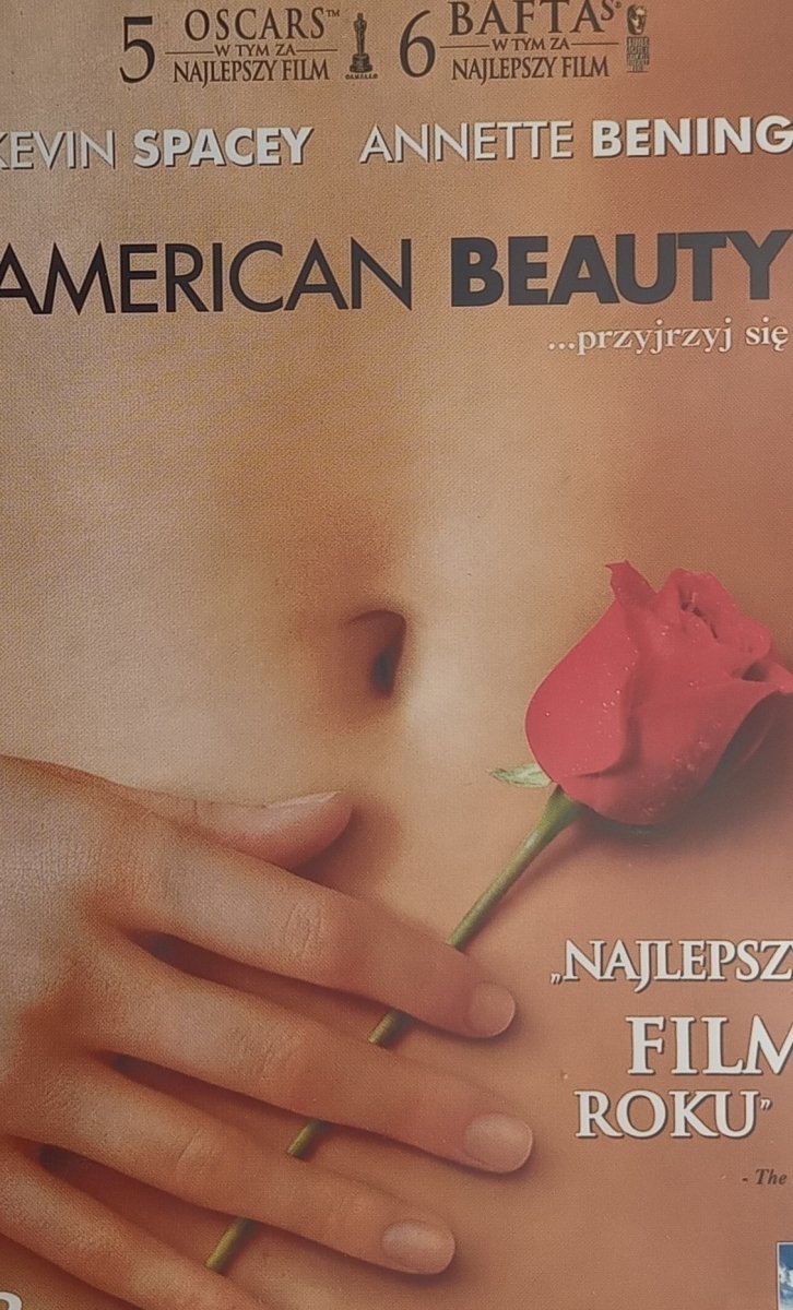 DVD. AMERICAN BEAUTY