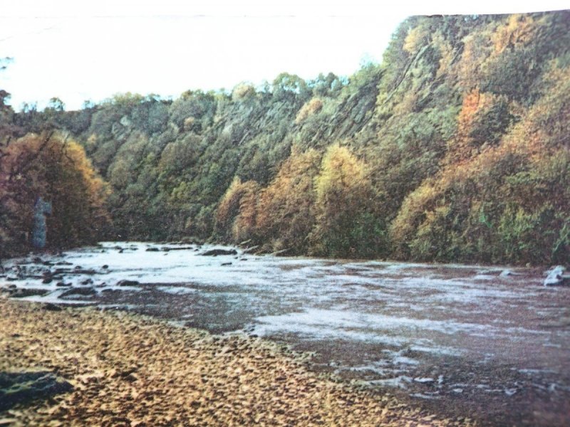 BIESZCZADY. WISŁOK POD BESKIEM FOT. T. SUMIŃSKI