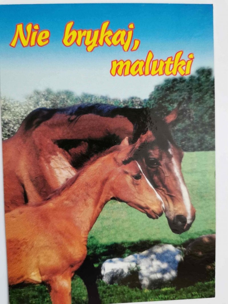 NIE BRYKAJ MALUTKI. KOŃ ZE ŹREBAKIEM