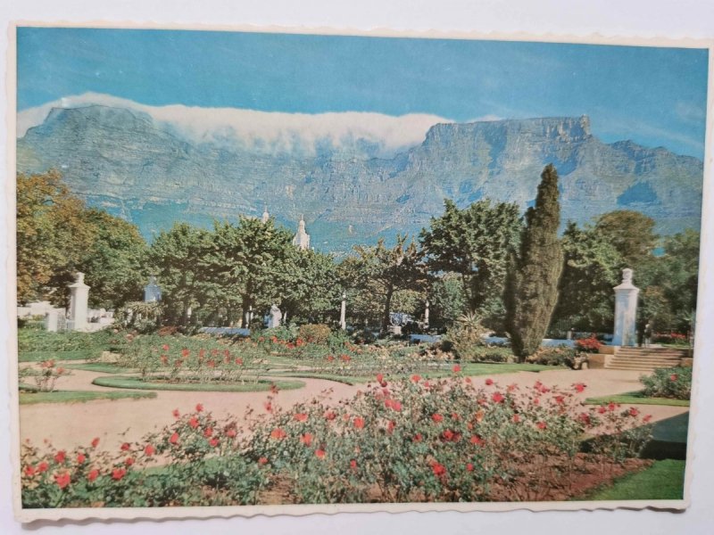 TABLE MOUNTAIN. CAPE TOWN GARDENS, SOUTH AFRICA
