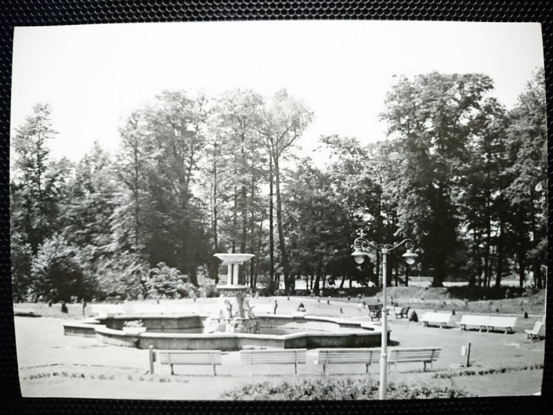 TOMASZÓW MAZOWIECKI. FRAGMENT PARKU XX-LECIA FOT. PETRUSZKA