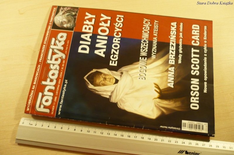 NOWA FANTASTYKA NUMER 11 (266) LISTOPAD 2004
