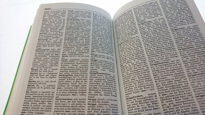 DAS BEDEUTUNGSWORTERBUCH. DUDEN BAND 10
