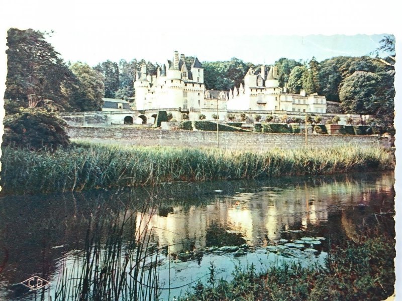 LES CHATEUX DE LA LOIRE