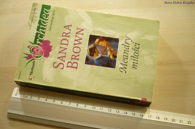 MEANDRY MIŁOŚCI - Sandra Brown (1999)