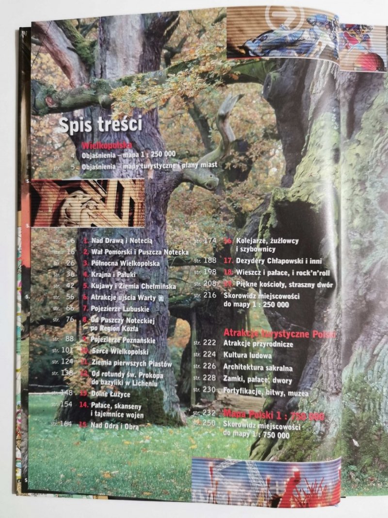 WIELKOPOLSKA. POLSKA NIEZWYKŁA 1: 250 000 