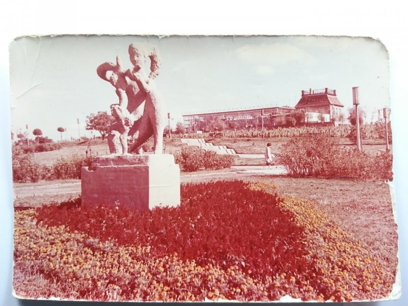 ZIELONA GÓRA. PARK WINNY, W GŁĘBI PALMIARNIA