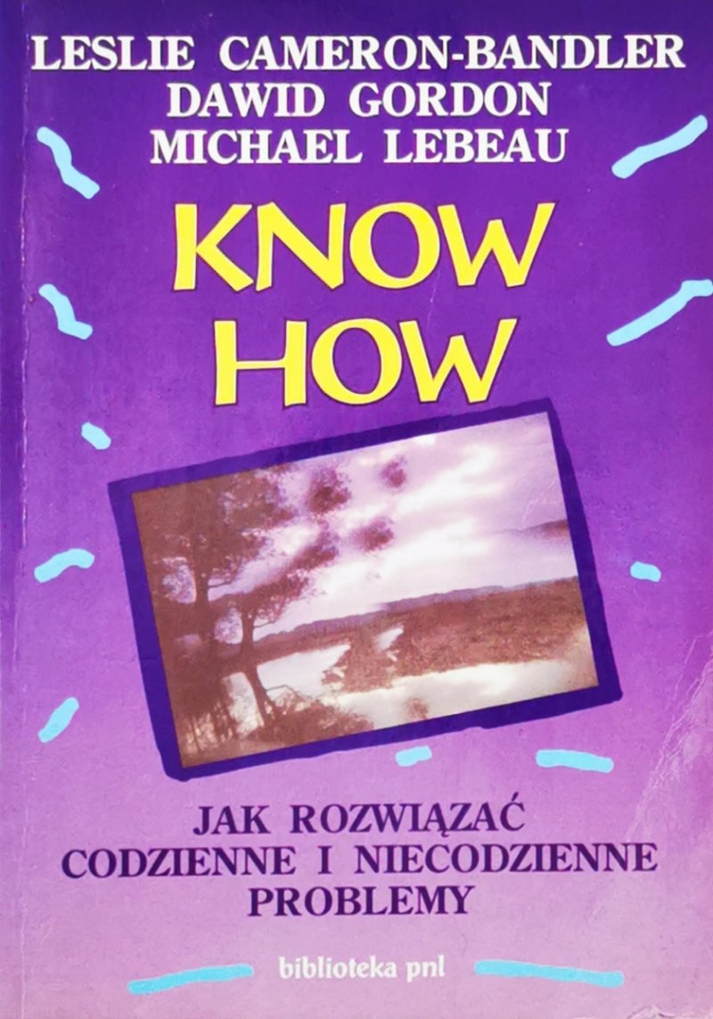 KNOW HOW. JAK ROZWIĄZAĆ CODZIENNE I NIECODZIENNE PROBLEMY - Leslie Cameron-Bandler