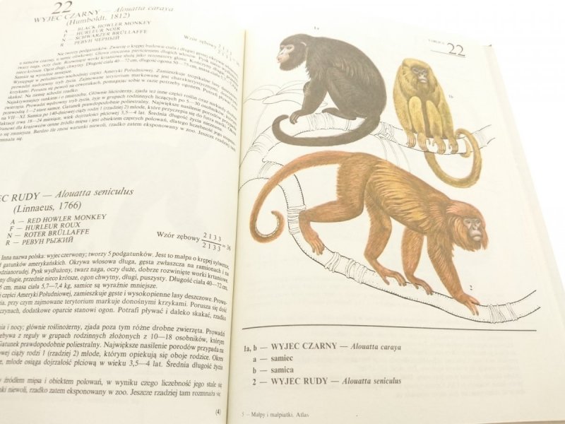 MAŁPY I MAŁPIATKI. ATLAS - Zbigniew Woliński 1990