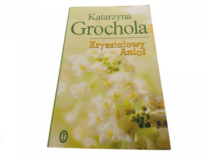 KRYSZTAŁOWY ANIOŁ - Katarzyna Grochola 2009