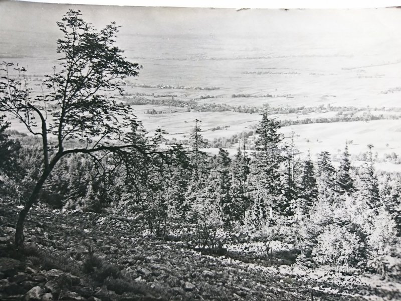 GOŁOBORZE NA ŁYSEJ GÓRZE FOT. B. MALMUROWICZ