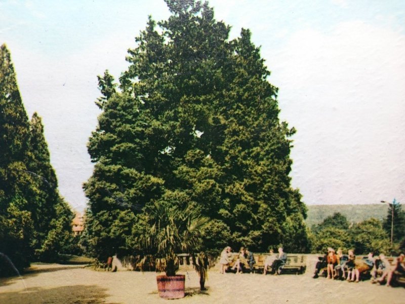 ŚWIERADÓW ZDRÓJ. PARK ZDROJOWY FOT. P. KRASSOWSKI