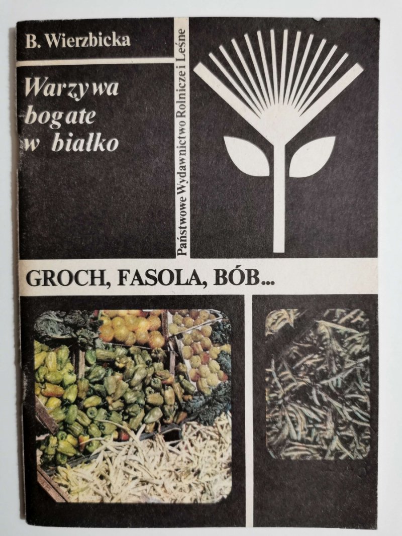 WARZYWA BOGATE W BIAŁKO. GROCH, FASOLA, BÓB… - B. Wierzbicka