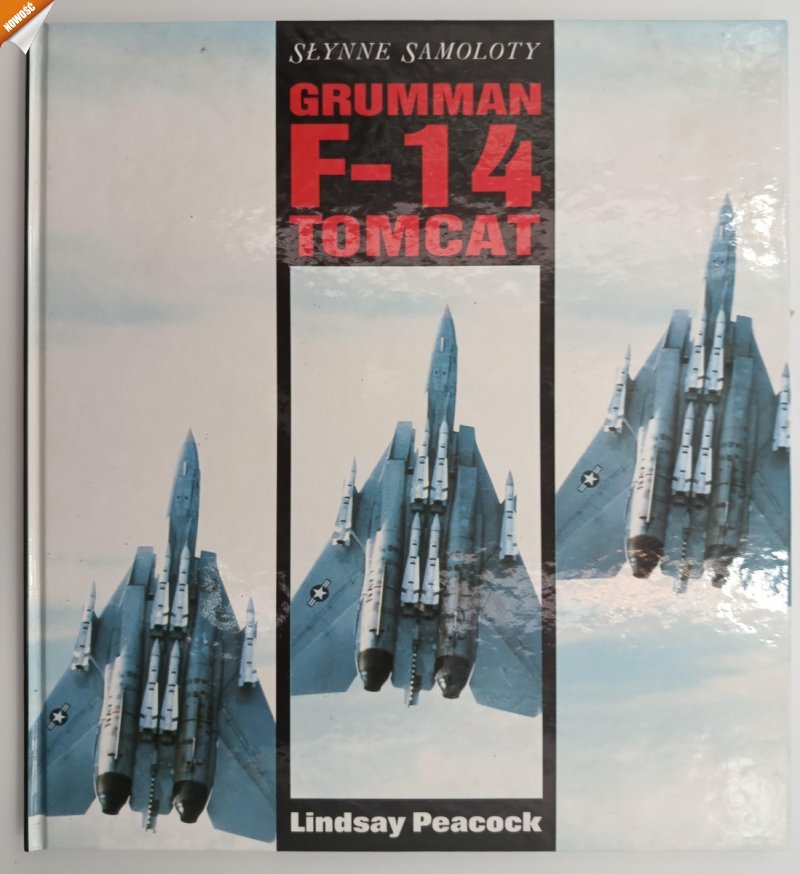 GUMMAN F-14 TOMCAT - Lindsay Peacock